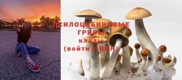 ГАЛЛЮЦИНОГЕННЫЕ ГРИБЫ Арсеньев