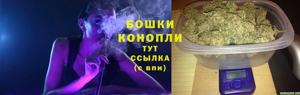 ГАЛЛЮЦИНОГЕННЫЕ ГРИБЫ Арсеньев