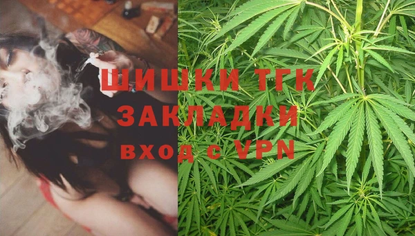 ГАЛЛЮЦИНОГЕННЫЕ ГРИБЫ Арсеньев