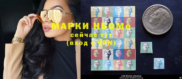 ГАЛЛЮЦИНОГЕННЫЕ ГРИБЫ Арсеньев